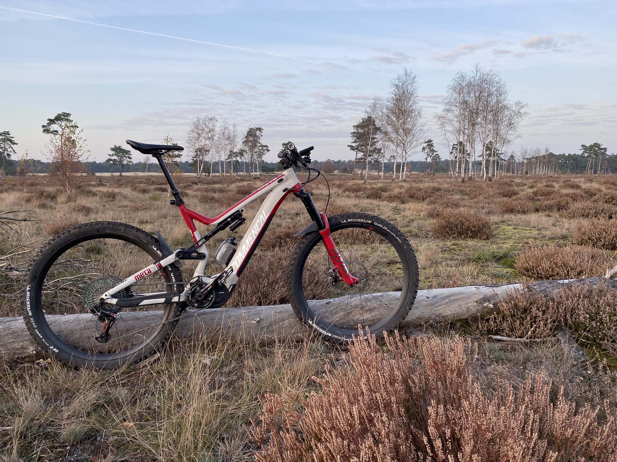 amazing carbon bike 