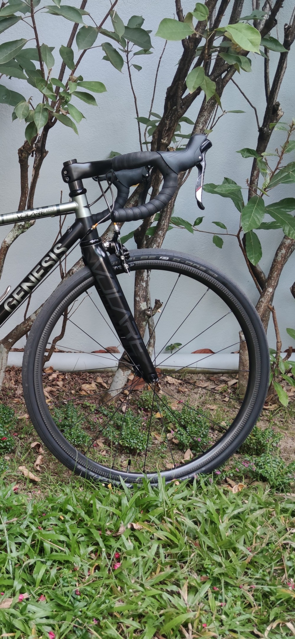 Rim Brake Road bike 700C