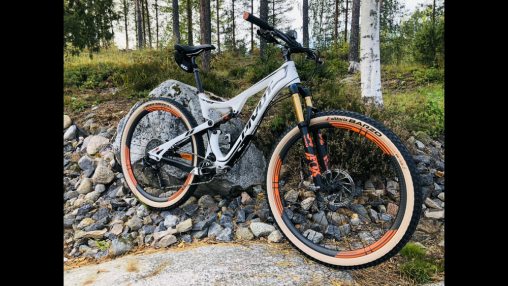 eie wheels 29er bike frame